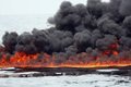 Чтобы убрать разлив нефти, нужно сжечь его Чтобы убрать разлив нефти, нужно сжечь его