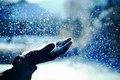 Почему снег делает мир таким тихим? Почему снег делает мир таким тихим?
