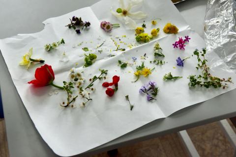 Цвет и эмоции: почему палитры так важны для красоты