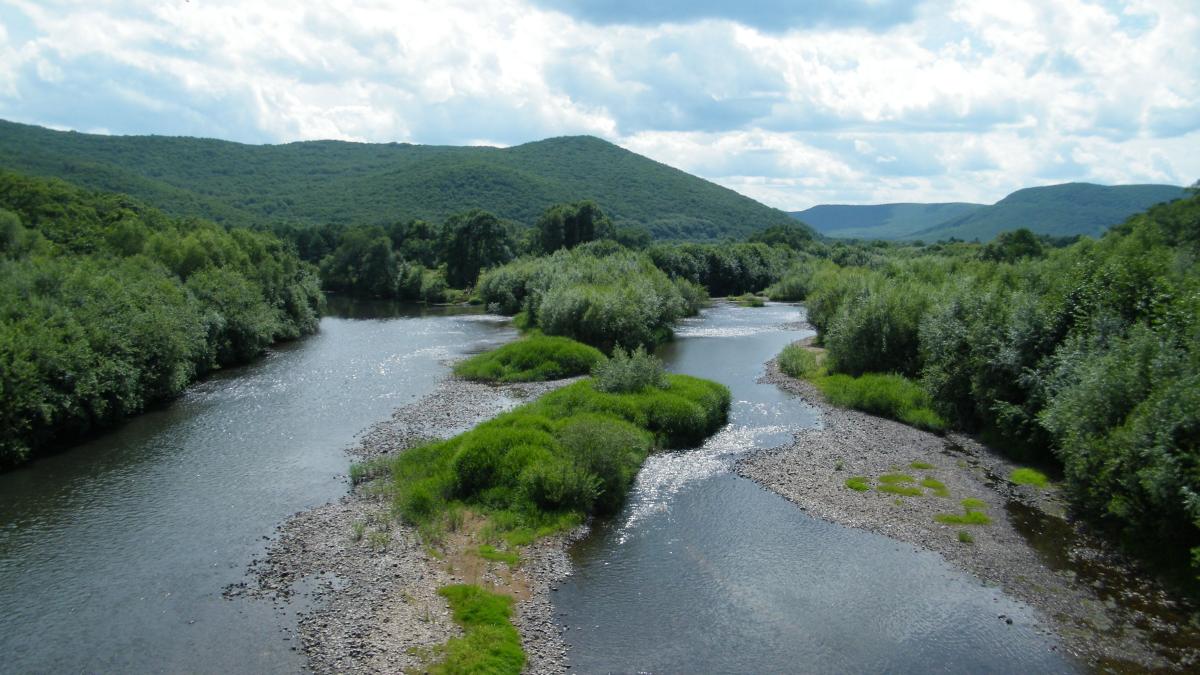 Река Арсеньевка возле села Анучино Приморье