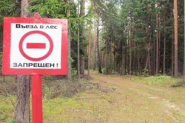 Власти Тамбовской области ограничили посещение лесов из-за пожаров