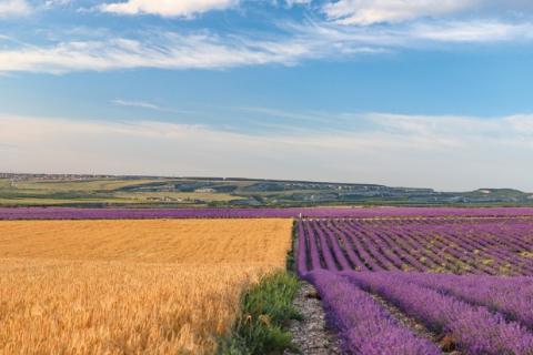 Крым развивает гастрономический туризм и новые маршруты — Рамблер