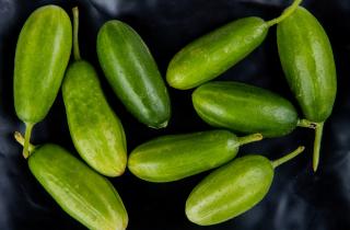 В авиапитании нашли огурцы с опасным уровнем нитратов — Роспотребнадзор