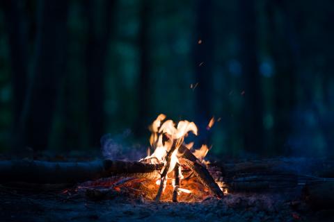 Как разжечь красивый костёр осенью: советы от туристов и инструкторов