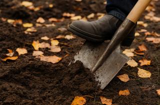 Без копания почва сохраняет микрофлору — агрономы