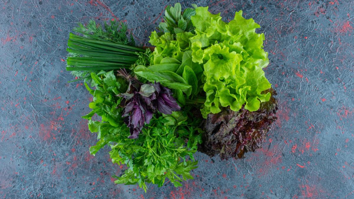 Свежая зелень