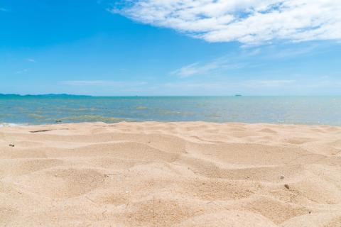 SurfHavens: песок на пляже формирует узоры и текстуры вместе с ритмом волн