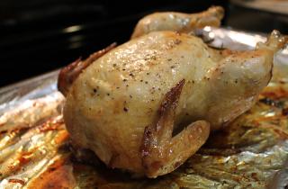 А мужики-то не знают: как регулярное потребление промышленной курятины угрожает мужскому здоровью