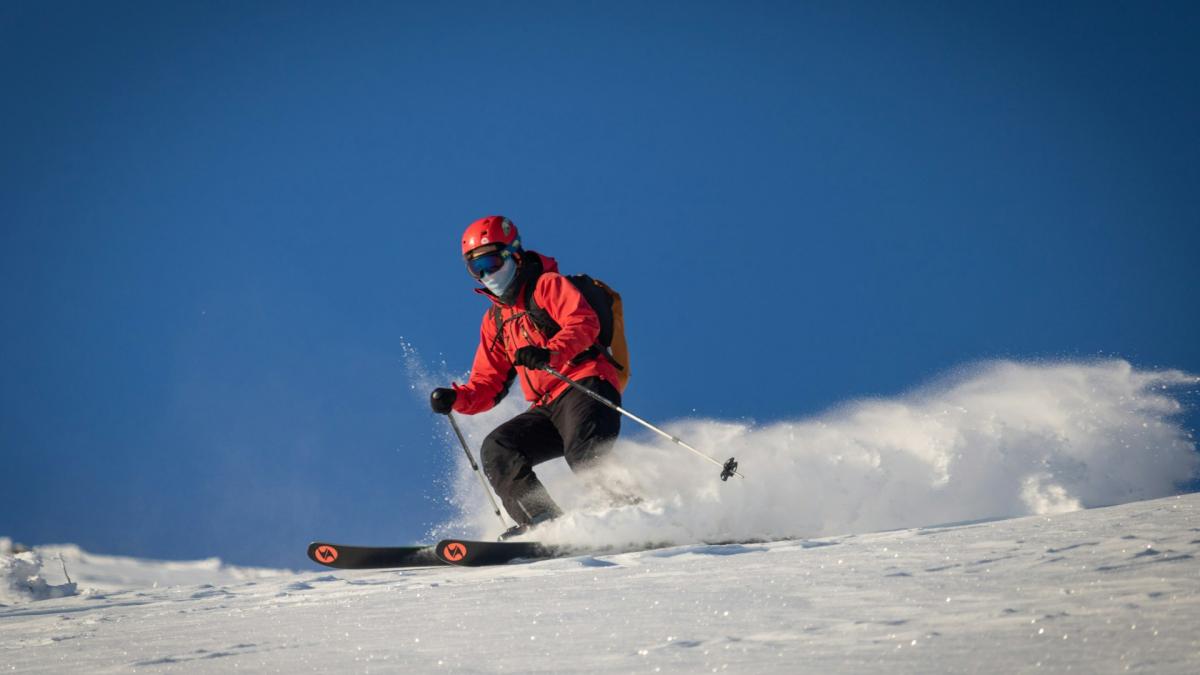 Горные лыжи