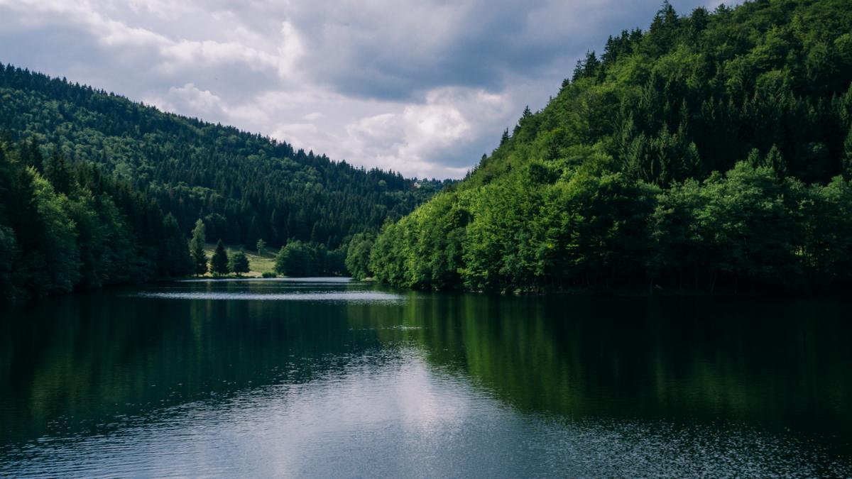 Река Река