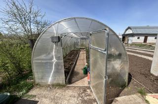 Проветривание теплицы укрепило иммунитет тепличных культур — агрономы