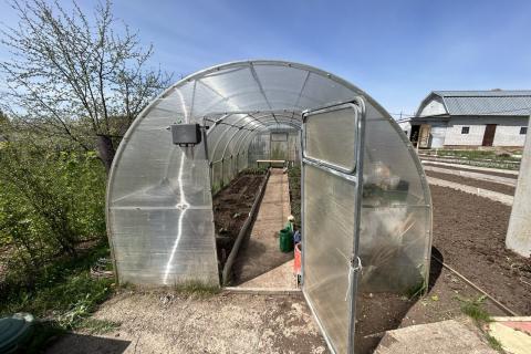 Проветривание теплицы укрепило иммунитет тепличных культур — агрономы