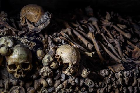 Учёные нашли в Индии следы первых людей возрастом 3 миллиона лет