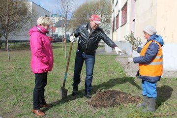 В Смольном жителям Санкт-Петербурга рассказали о правилах высадки деревьев