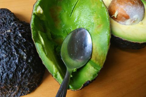 Порошок из косточки настаивают 12 часов — цветоводы