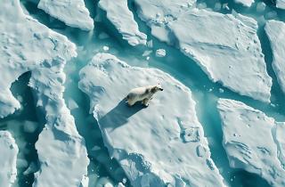 Технологии против таяния: как искусственный интеллект помогает Арктике выжить