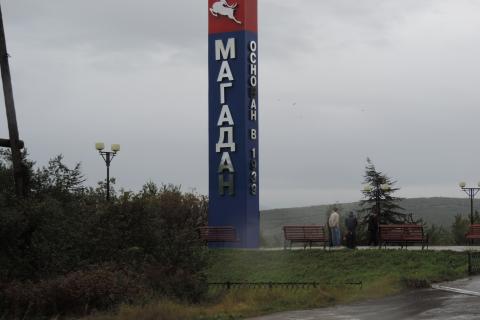 Мозг или коралл? В Магадане обнаружено нечто странное