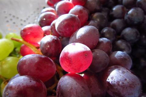 Маринованный виноград с оливками идеально сочетается с вином — Едим Дома