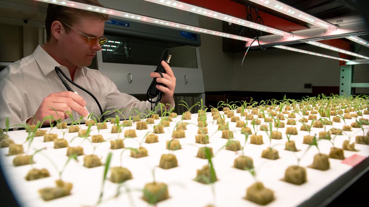 Вертикальная ферма