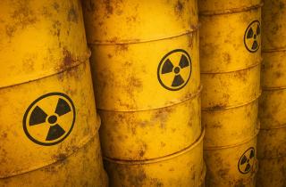 Учёные бросили вызов радиации — и природа помогла: создана живая защита от излучения