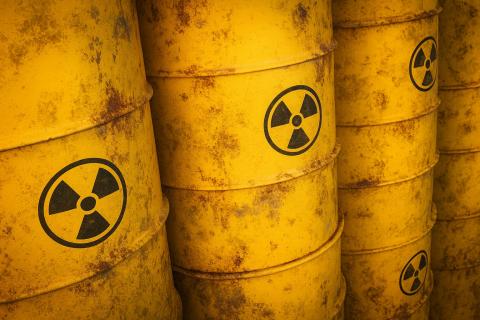 Учёные бросили вызов радиации — и природа помогла: создана живая защита от излучения