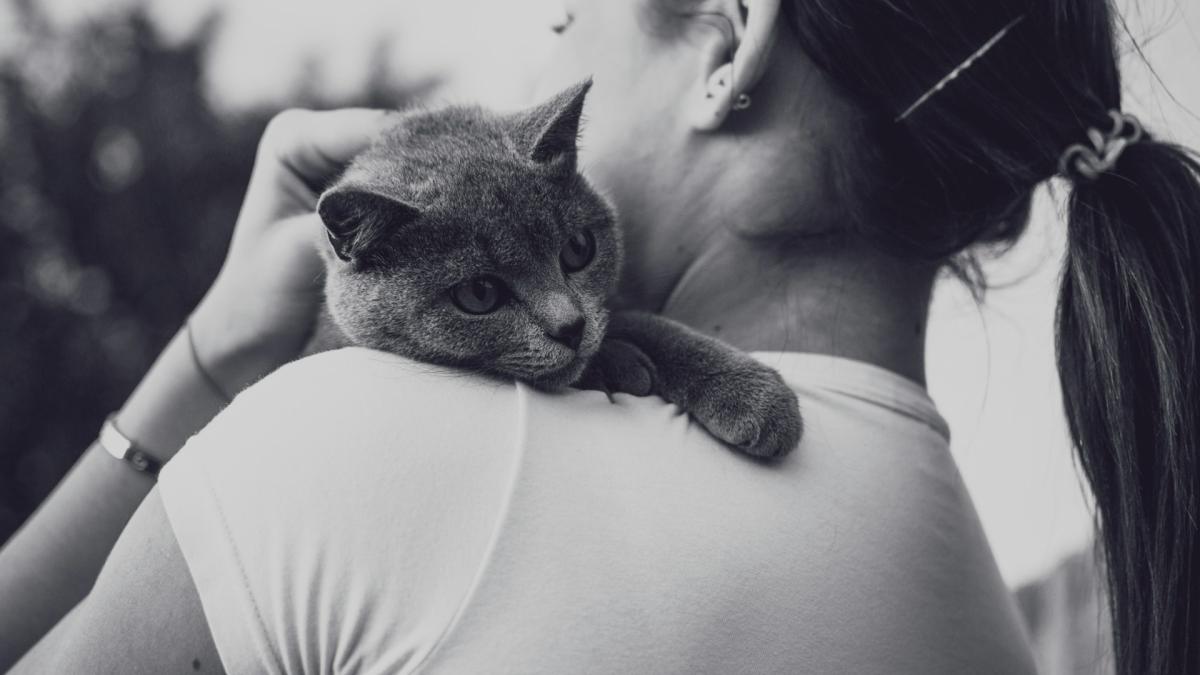 Девушка гладит кошку