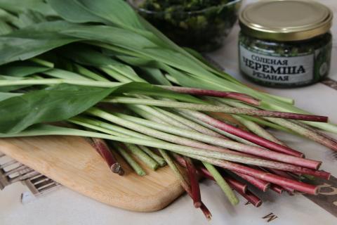 Варим похлёбку с квасом и черемшой — вкус из детства