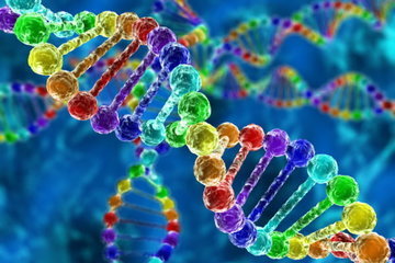 Древняя ДНК - мощный инструмент для изучения прошлого