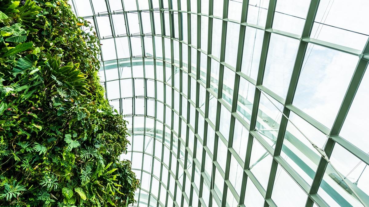 Зеленые крыши домов