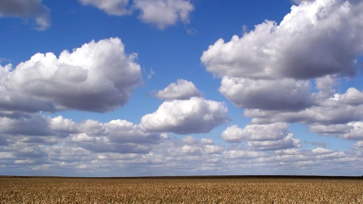 Облака и кукуруза