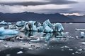 Исчезающий морской лед может разрушить пищевую сеть Арктики Исчезающий морской лед может разрушить пищевую сеть Арктики