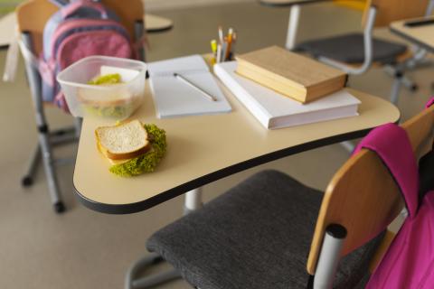 КНДР вводит обязательное изучение русского языка с 4 класса