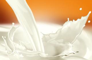 Альтернатива молоку: Роскачество рассказало, как выбрать безопасный растительный напиток