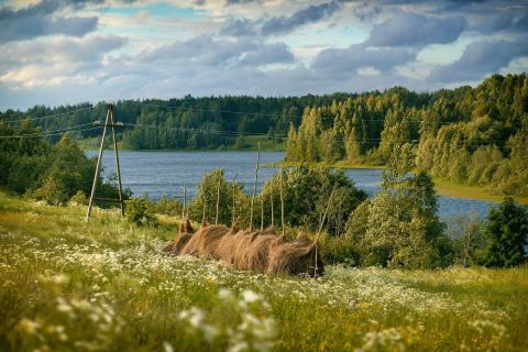 Жителей Архангельской области ждет жаркая погода