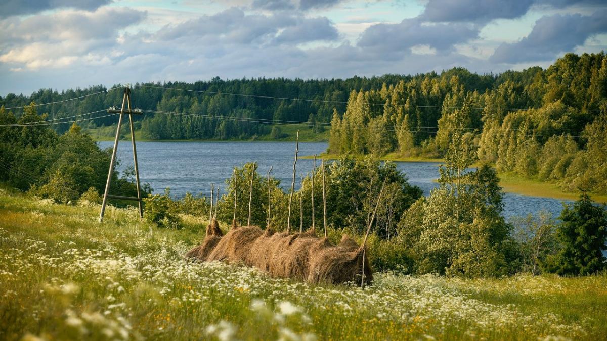 Архангельский пейзаж Архангельский пейзаж