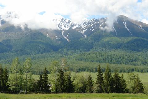 Казахстан на тарелке и в чемодане: 7 вкусных сувениров, которые захочется оставить себе