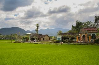 Вода ушла, но след остался: Вьетнам восстанавливает жемчужину ЮНЕСКО после стихии