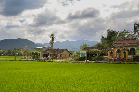 Вода ушла, но след остался: Вьетнам восстанавливает жемчужину ЮНЕСКО после стихии