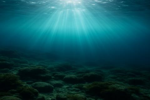 В море Беллинсгаузена нашли ужасных существ: черви-зомби и плотоядные губки живут с нами на одной планете