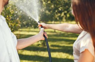 Глубокий полив снизил риск обморожений корней — агрономы