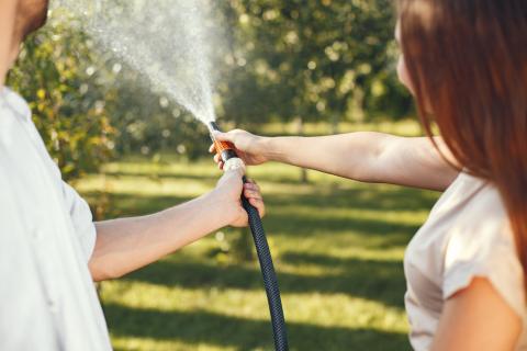 Глубокий полив снизил риск обморожений корней — агрономы