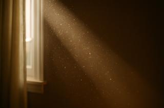 Разработчица создала безопасный материал против пыли — НЭТИ