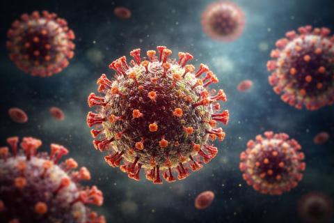 Зомби-апокалипсис внутри нас: остатки COVID атакуют иммунитет — открытие пугает даже врачей