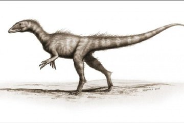 Только не смейтесь: с этого динозавра началась история монстров юрского периода
