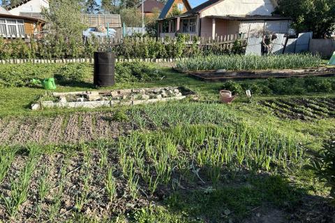От сорняков до суда: новые правила для владельцев земли