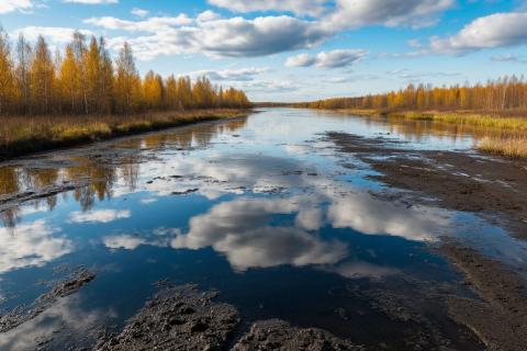 Архангельские власти заявляют об устранении последствий разлива нефти на Северной Двине