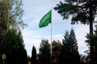 Туристические службы отметили рост интереса к Саудовской Аравии — MIR24.TV