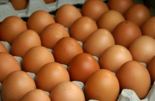 Птицефабрика Камчатки вышла на 200 тысяч яиц в сутки