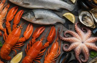 Камчатка экспортировала 53 тысячи тонн морепродуктов