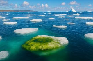 Пять лет до пика: климатологи предупреждают о самом опасном десятилетии XXI века